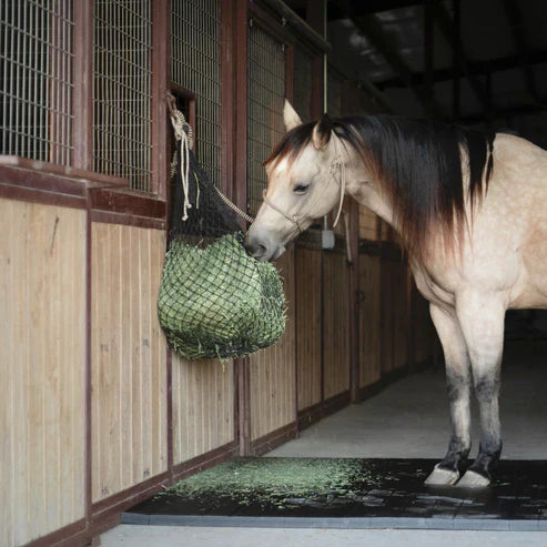 🐴 Feed Smarter, Feed Healthier: The Benefits of Slow Feed Hay Bags
