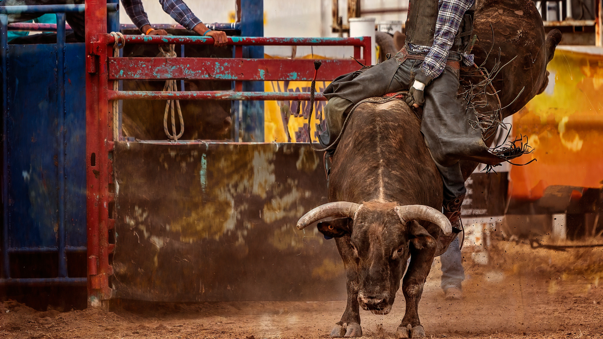 What to Look for in a Bull Rope: A Guide to Choosing the Right One