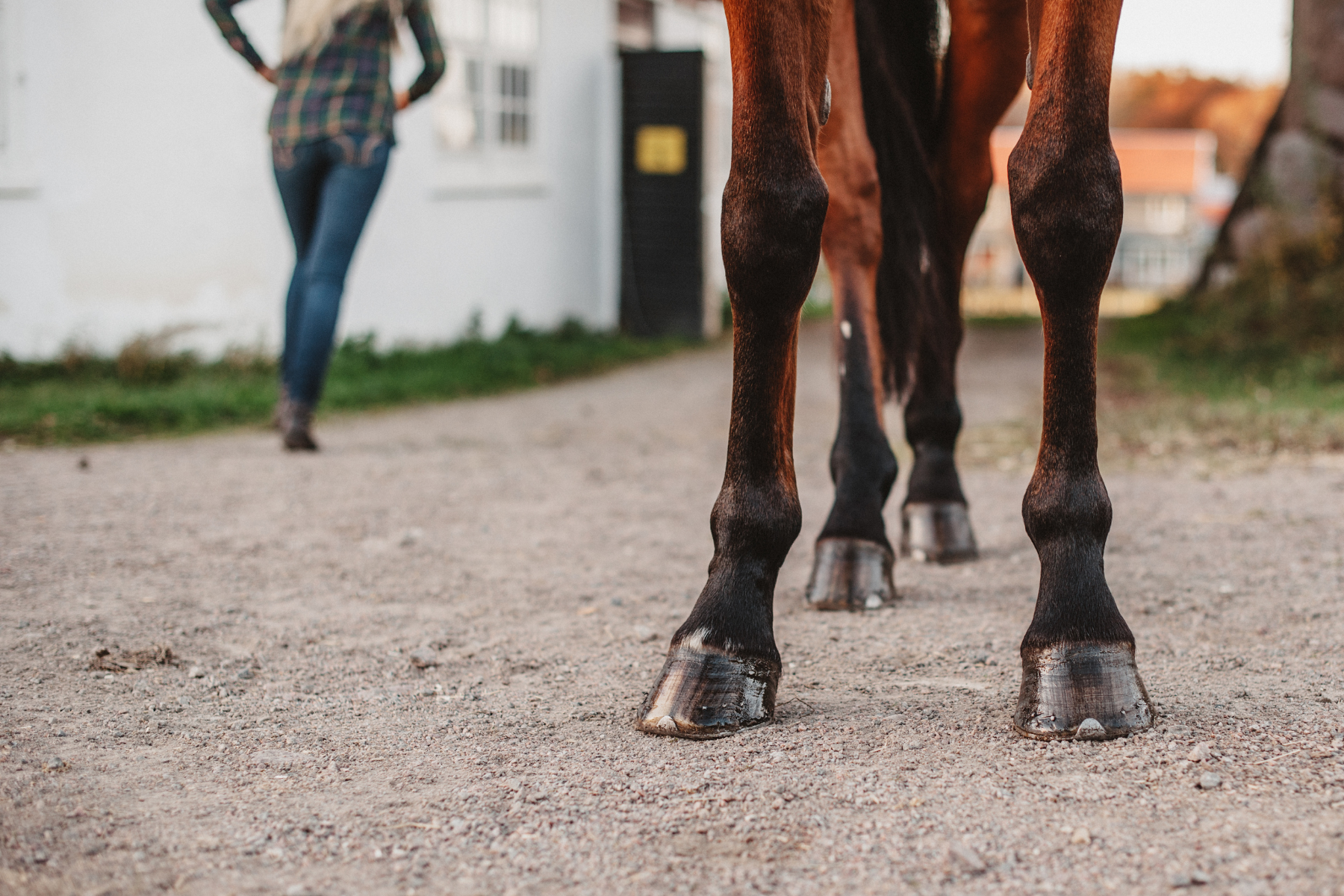 Cool Your Jets - Sports Medicine Boots