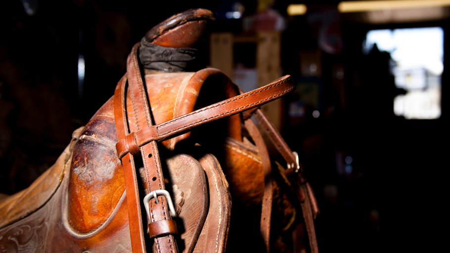 How to Revitalize Old Leather (Saddles & Bridles)