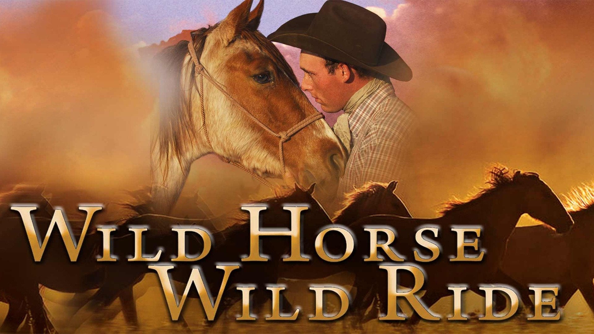 7 of the Best Horse Movies and Shows on Netflix