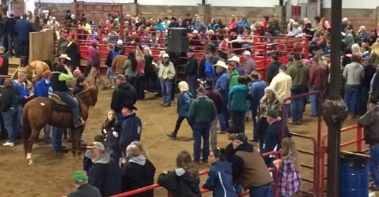 Southern Ohio Horse Sale