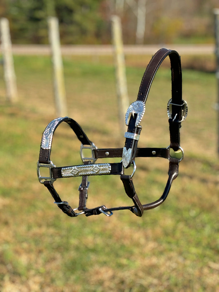 Engraved Show Halter