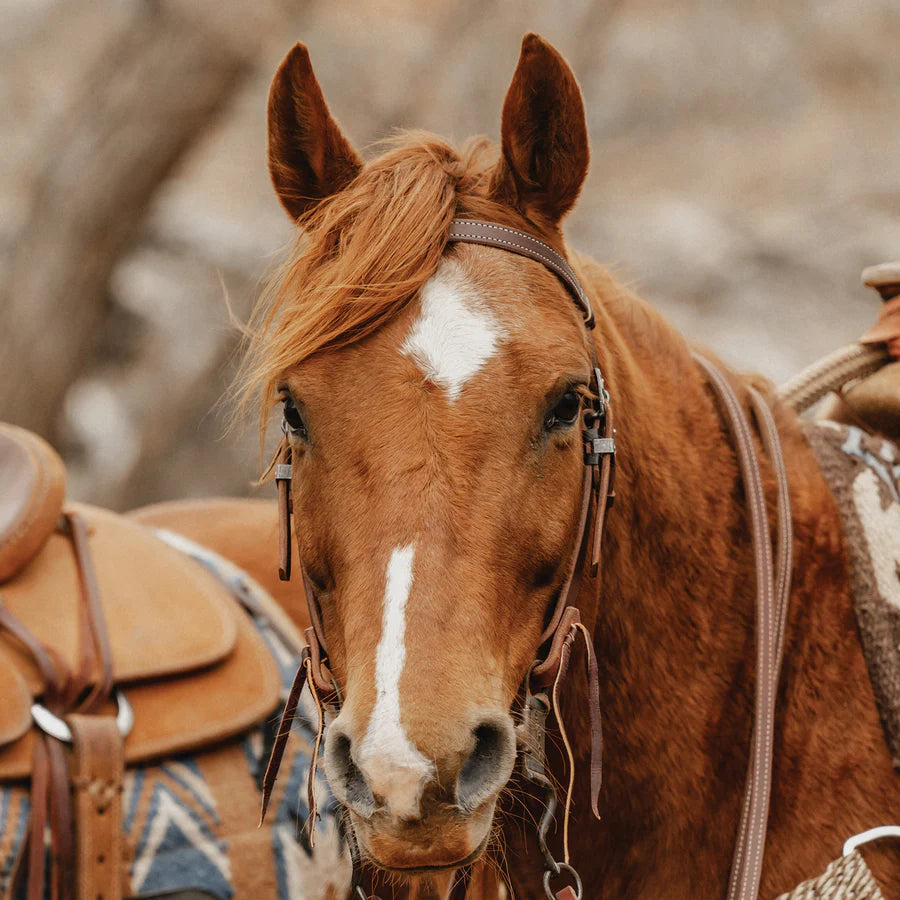 STS Ranch Harness Leather Browband Headstall - Henderson's Western Store