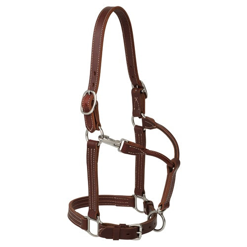 Ranch Horse Halter