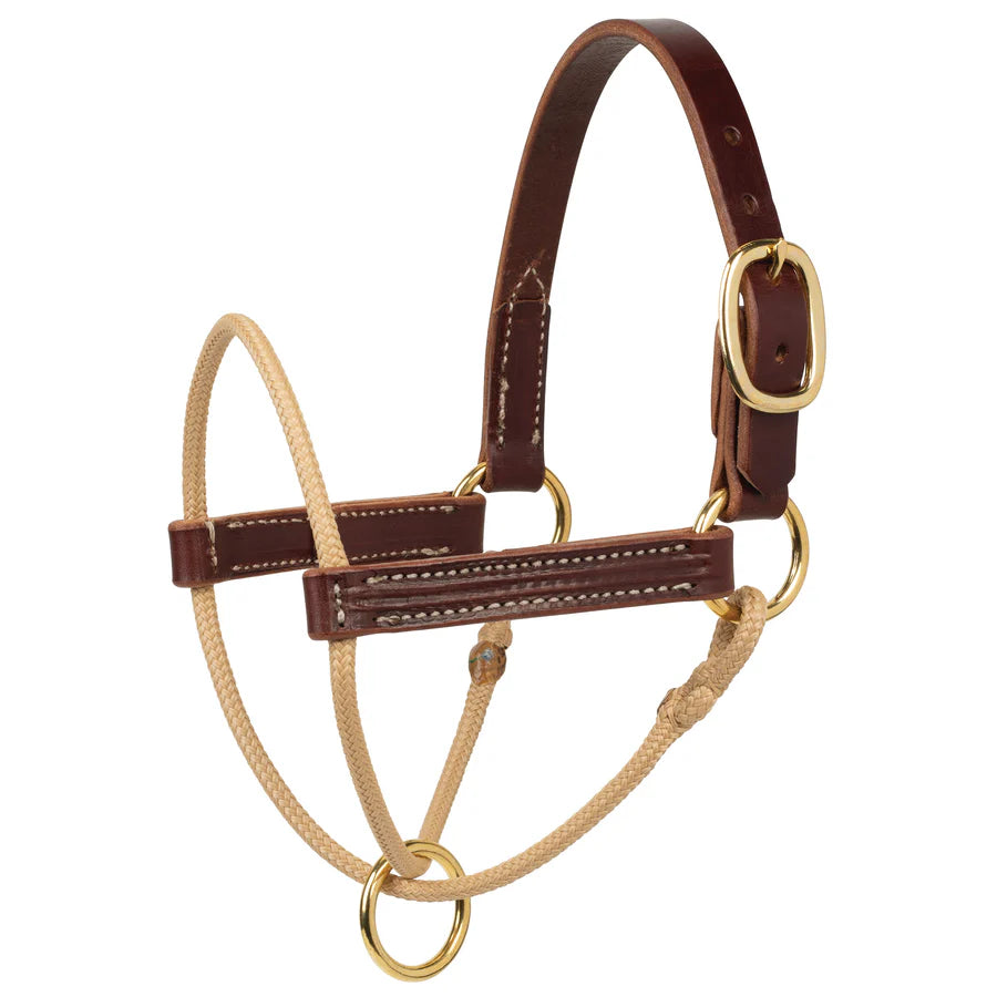 Leather Horsman's Halter ~ Foal - Henderson's Western Store
