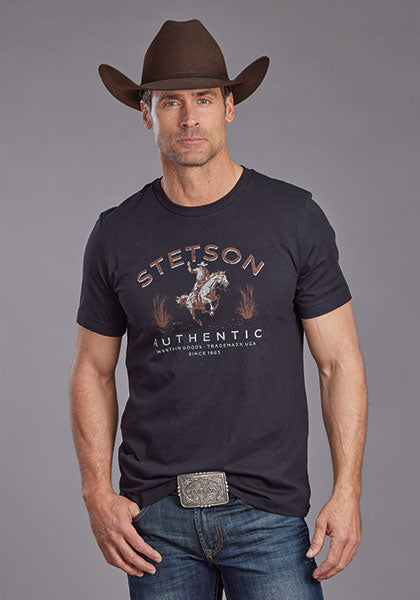 Stetson Bronc Scenery Tee