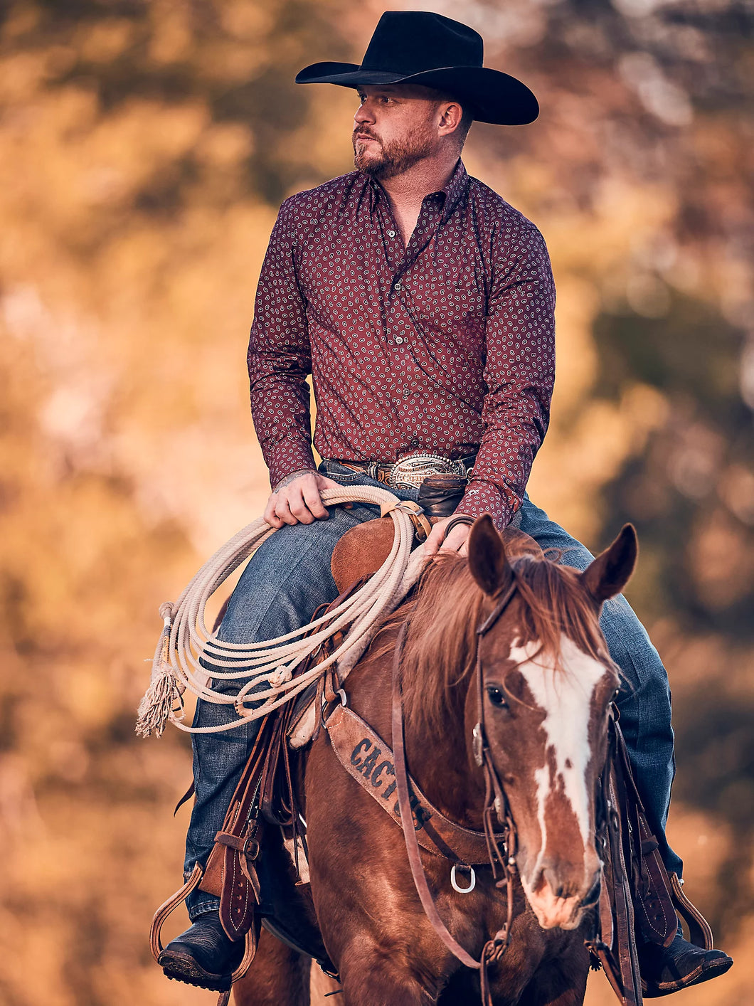 Cody Johnson Button Down by Wrangler