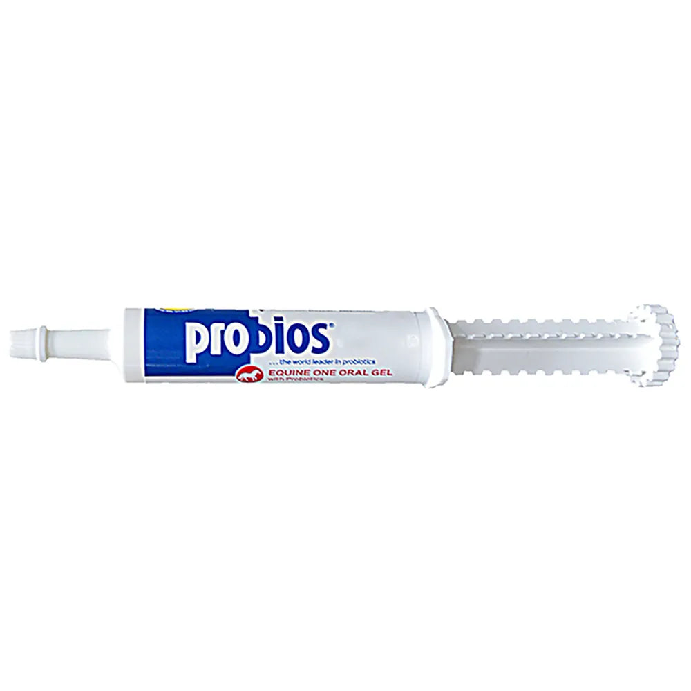 Probios Equine One Oral Gel With Probiotics - Henderson's Western Store