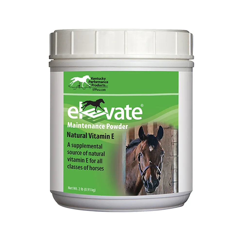 Elevate Maintenance Powder Vitamin E for Horses - Henderson's Western Store