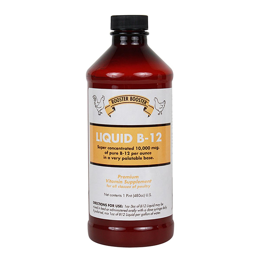 Liquid B-12 Supplement