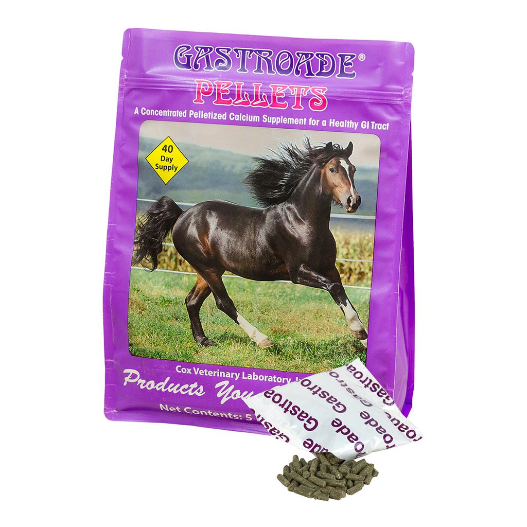 Gastroade Calcium Supplement for Horses - Henderson's Western Store