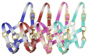 Load image into Gallery viewer, Nylon Halters ~ Ombre ~ Pony - Henderson&#39;s Western Store