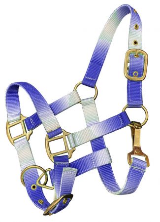 Nylon Halters ~ Ombre ~ Pony - Henderson's Western Store