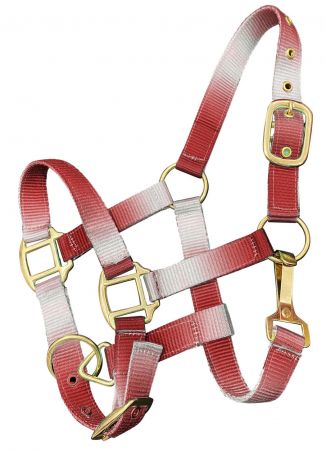 Nylon Halters ~ Ombre ~ Pony - Henderson's Western Store