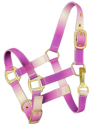 Nylon Halters ~ Ombre ~ Pony - Henderson's Western Store