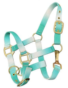 Load image into Gallery viewer, Nylon Halters ~ Ombre ~ Pony - Henderson&#39;s Western Store