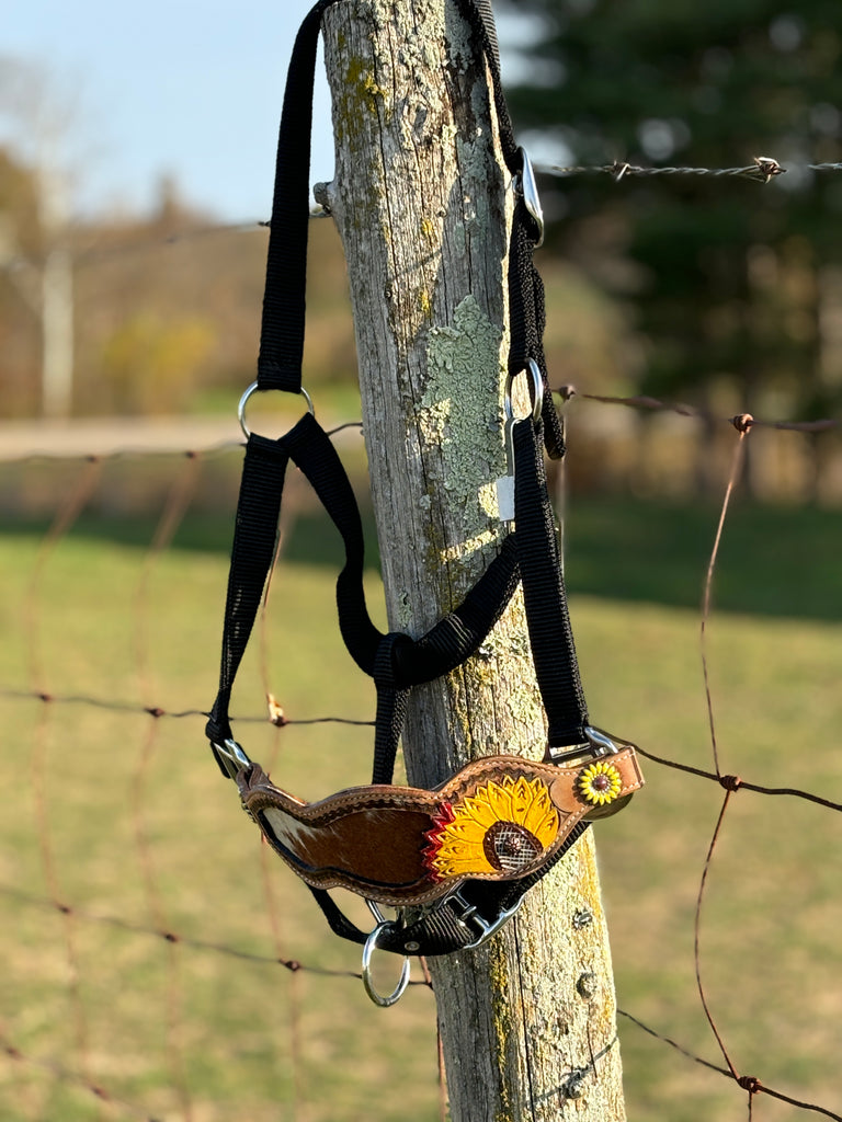 Nylon Bronc Halter ~ Painted Sunflower