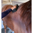Tiger's Tongue Horse Groomer - Henderson's Western Store