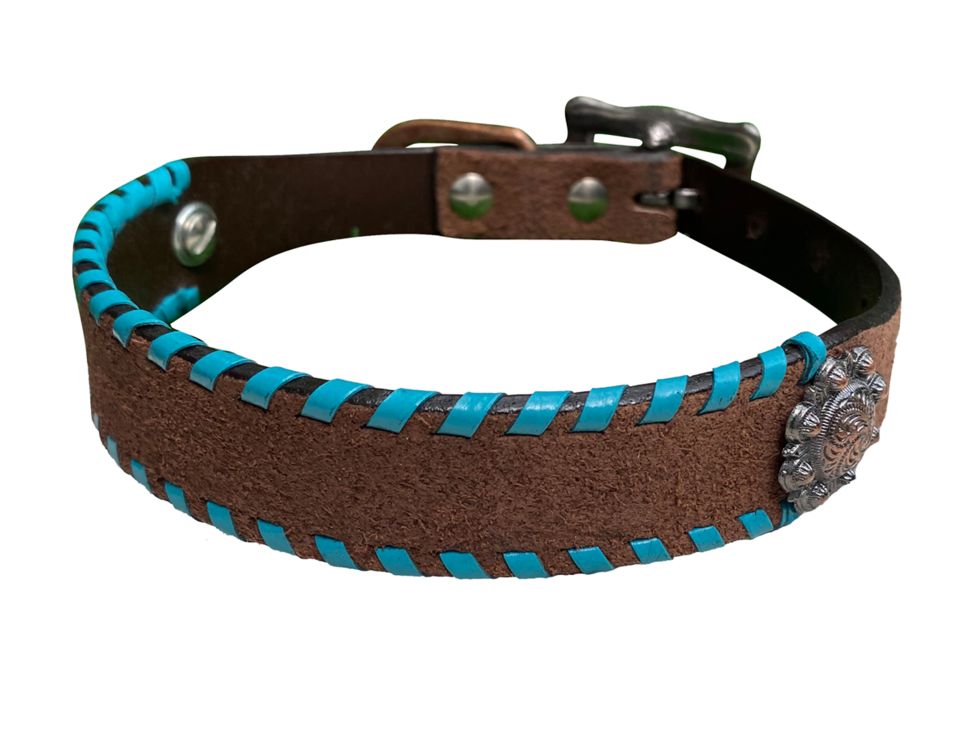 Buckstitch Dog Collar ~ Turquoise - Henderson's Western Store