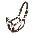 Royal King Silver Bar Show Halter ~ Pony - Henderson's Western Store