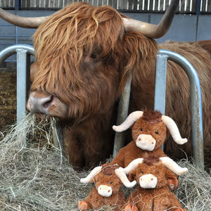 Load image into Gallery viewer, Highland Cow Plush - Henderson&#39;s Western Store