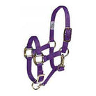 Nylon Halter ~ Suckling - Henderson's Western Store