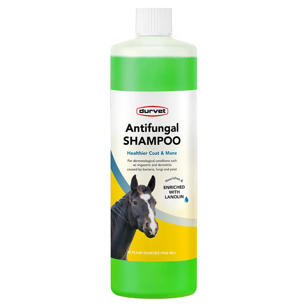 Antifungal Shampoo for Horses - Henderson's Western Store