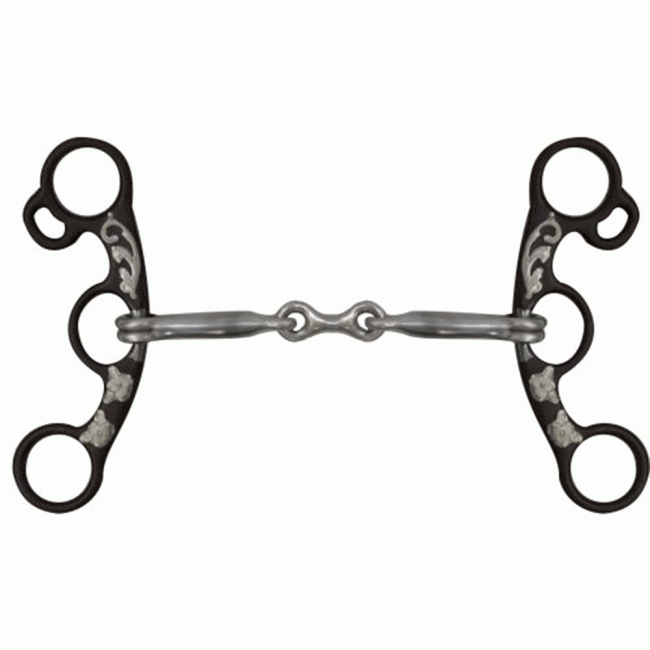 Shiloh Bits