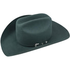 Lightning 4X Felt Hat by Bailey ~ Sage Leaf - Henderson's Western Store