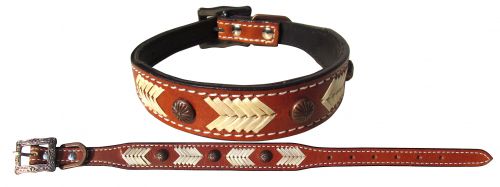 Leather Dog Collar W/Rawhide Lacing