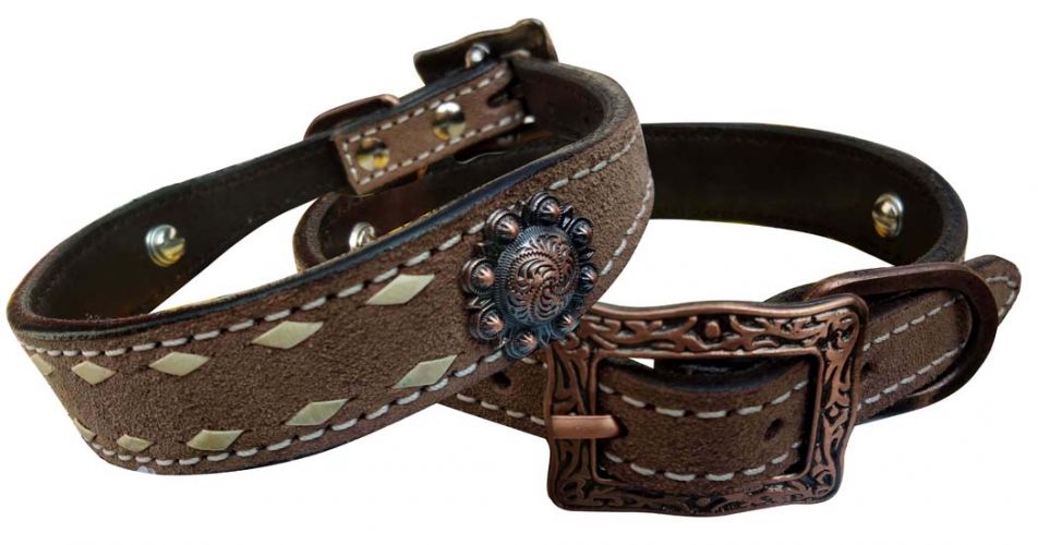Rough Out Dog Collar - Henderson's Western Store