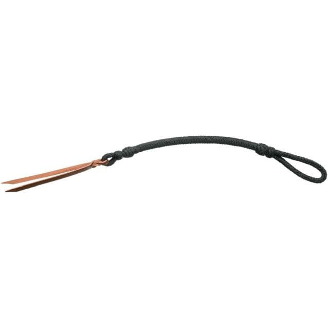 JT International Whips