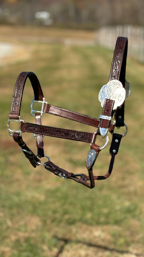 Silver Royal King Show Halter ~ Hand Carved Leather