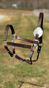 Load image into Gallery viewer, Silver Royal King Show Halter ~ Hand Carved Leather