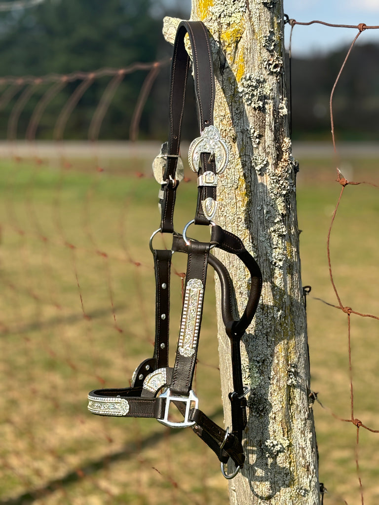 Dark Leather Show Halter ~ Floral Engraved