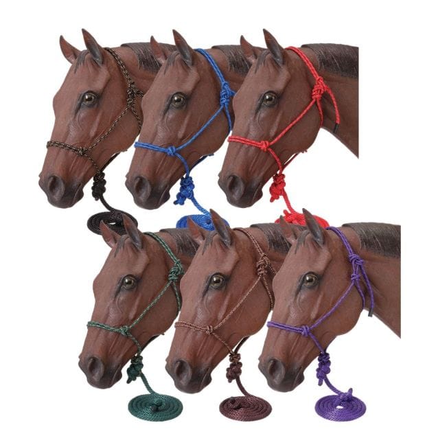 JT International Halters