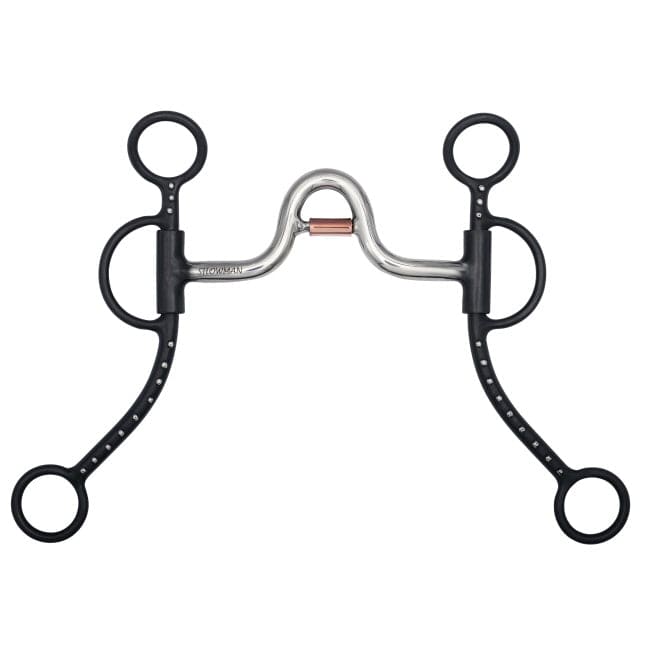 Shiloh Bits