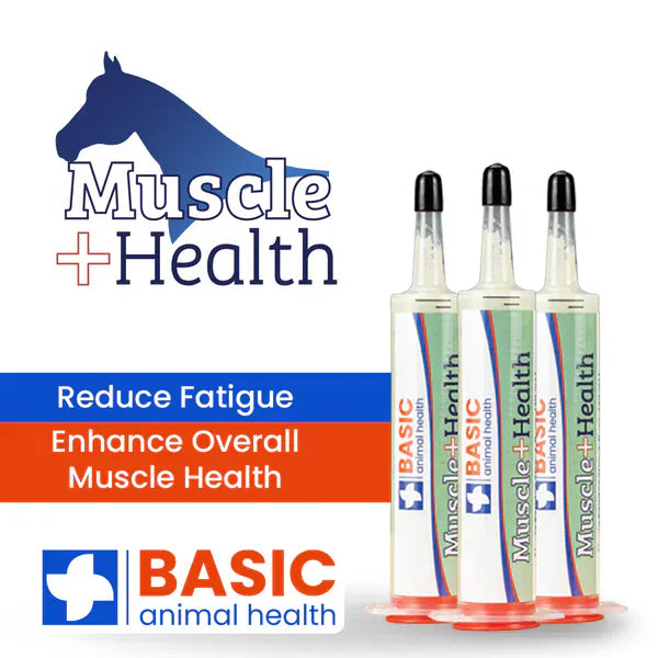 Basic Animal Health
