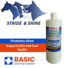 Basic Animal Health Barn Equipment