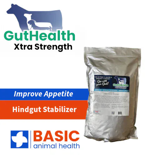 Basic Animal Health Barn Equipment