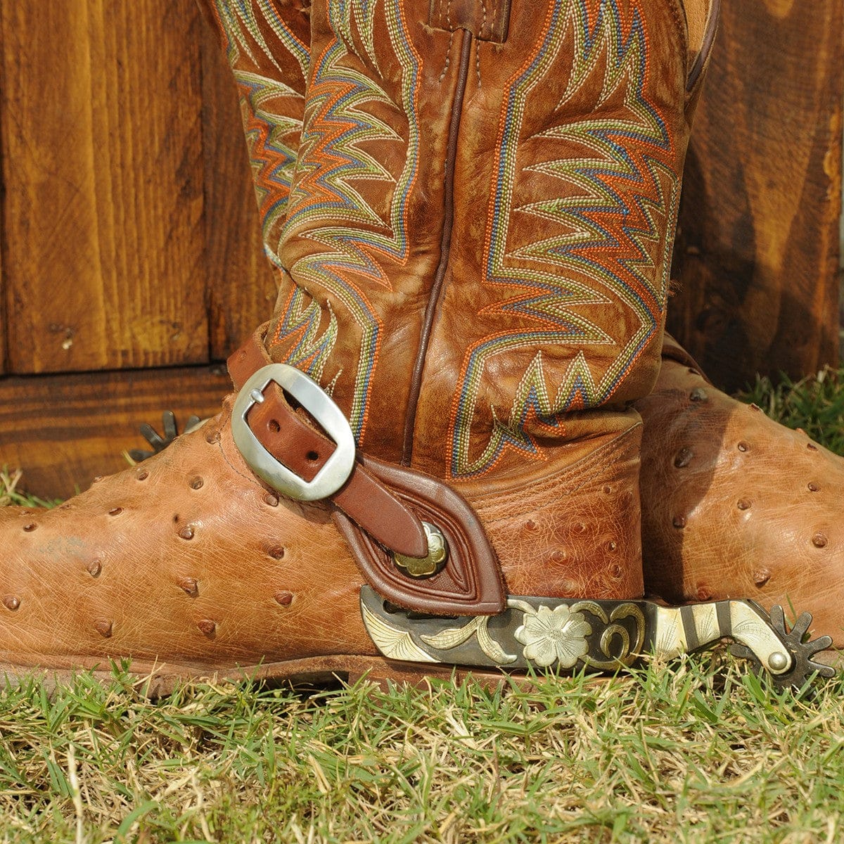 Classic Equine Spurs