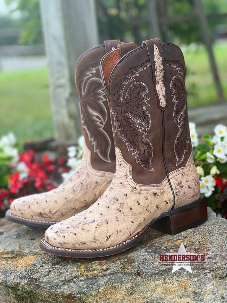 Alamosa Boots by Dan Post - Henderson's Western Store