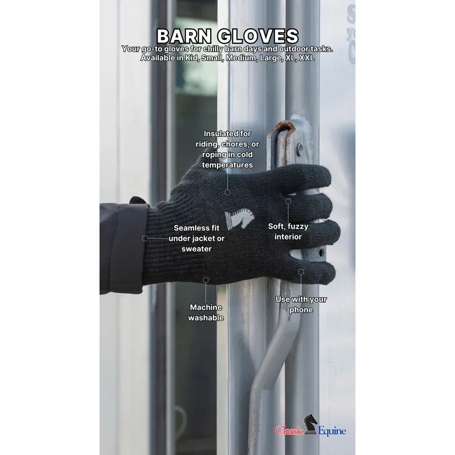 EquiBrand gloves
