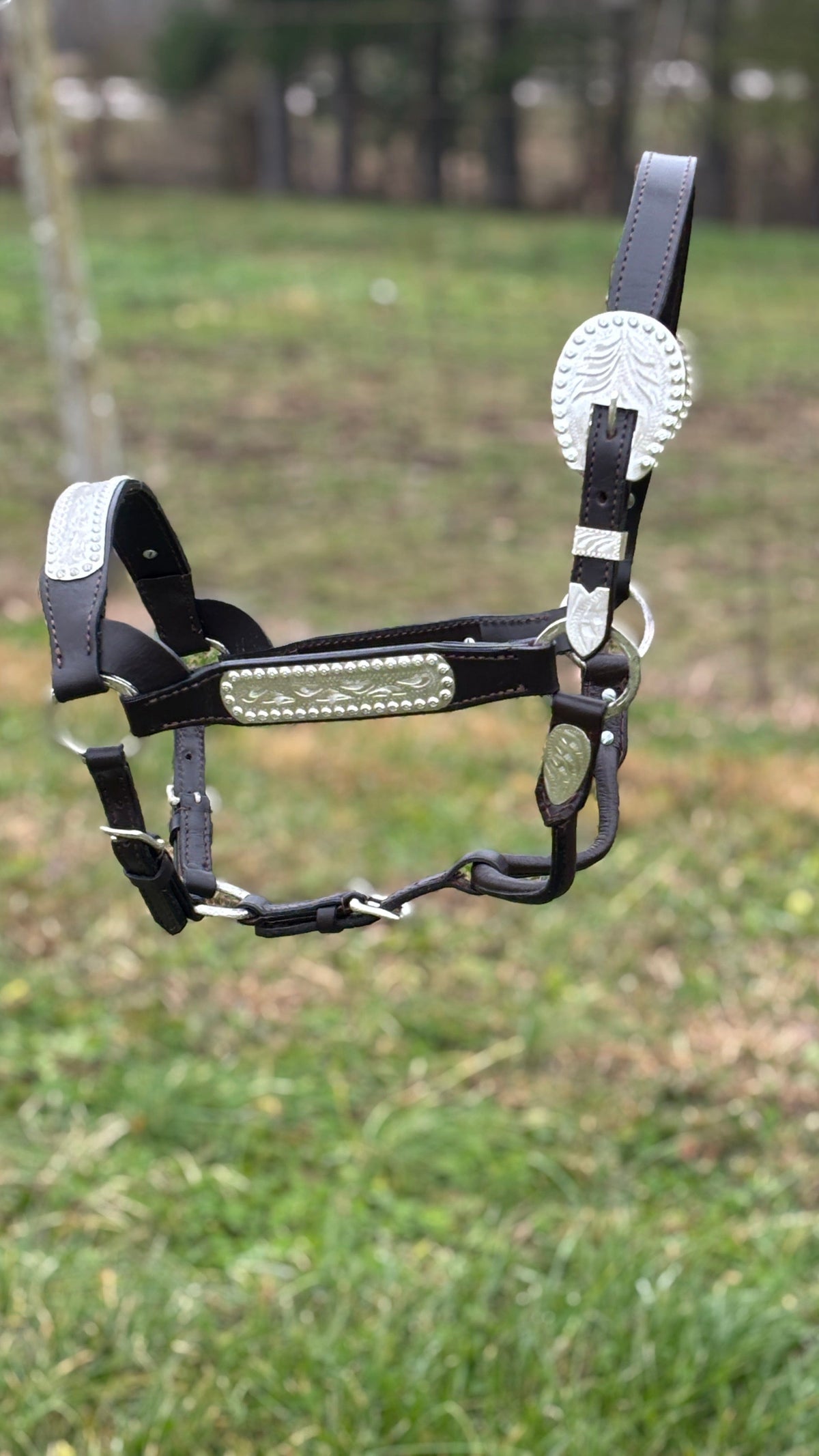 Shiloh Show Halters