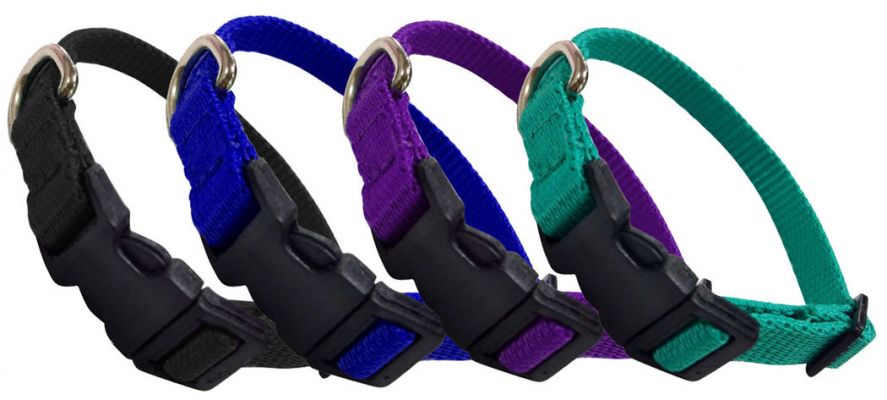 Adjustable Nylon Dog Collar - Henderson's Western Store