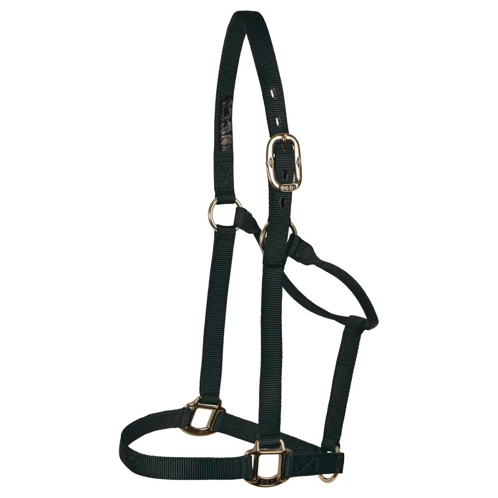 Big "D" Halter ~ Medium - Henderson's Western Store