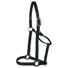 Big "D" Halter ~ Medium - Henderson's Western Store