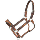 JT International Show Halters