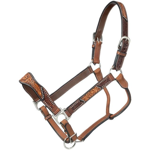 JT International Show Halters